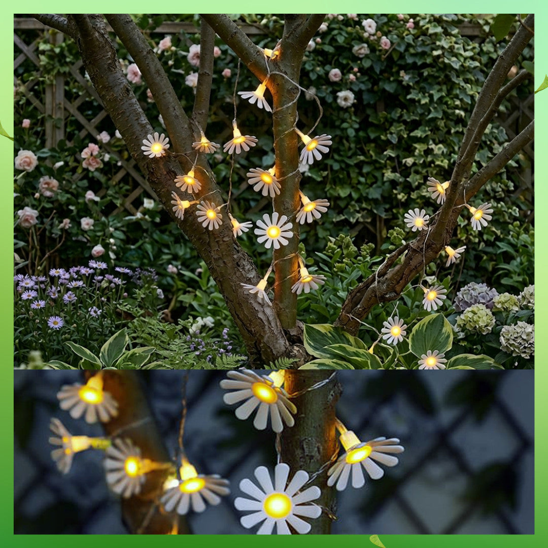 Firefly 20 Solar Daisy String Lights